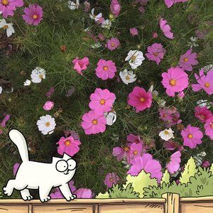 Meet your Posher, Cynthia